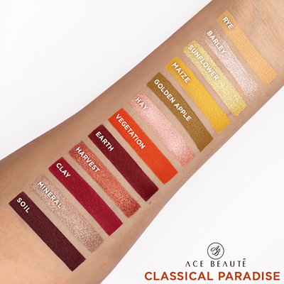 addl3_as_ace_ey5sh03_e11_classical_paradise_eyeshadow_palette