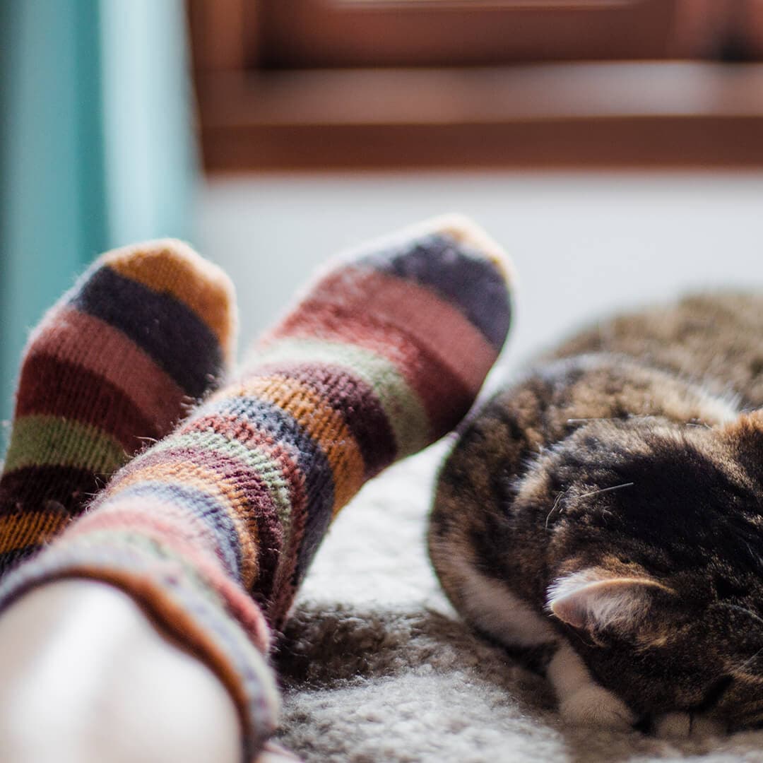 A photo of a model's legs wearing striped socks next to a sleeping tortoiseshell cat