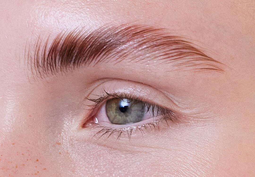 Close-up of a young woman's eye and laminated brows