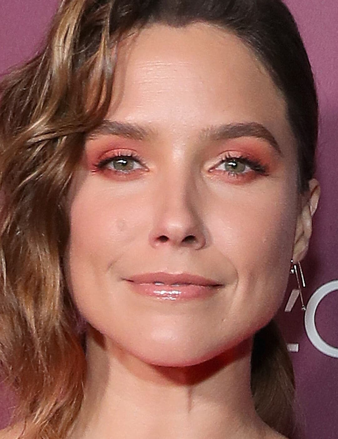 Close-up of Sophia Bush with a subtle sunset eyeshadow look