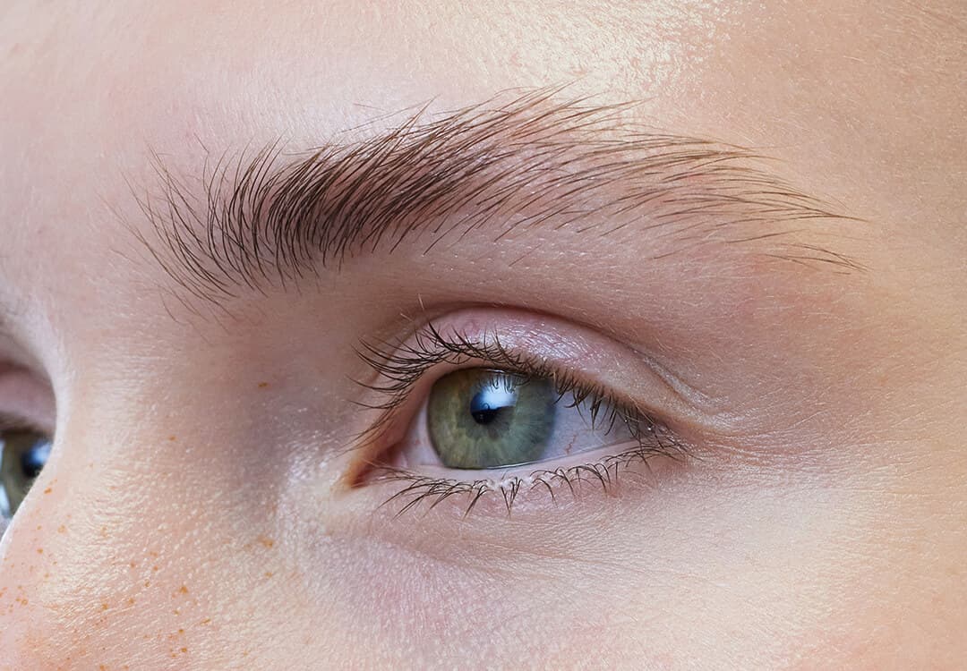 Close-up of a young woman's eyes and brows