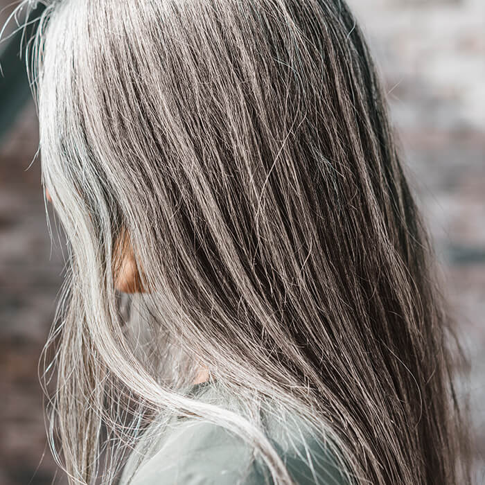 10 Best Shampoos for Gray Hair 2023 | IPSY