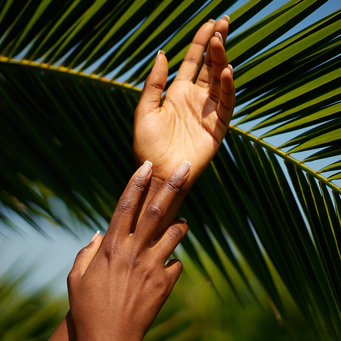 Woman's hands with manicure against palm leaf's background