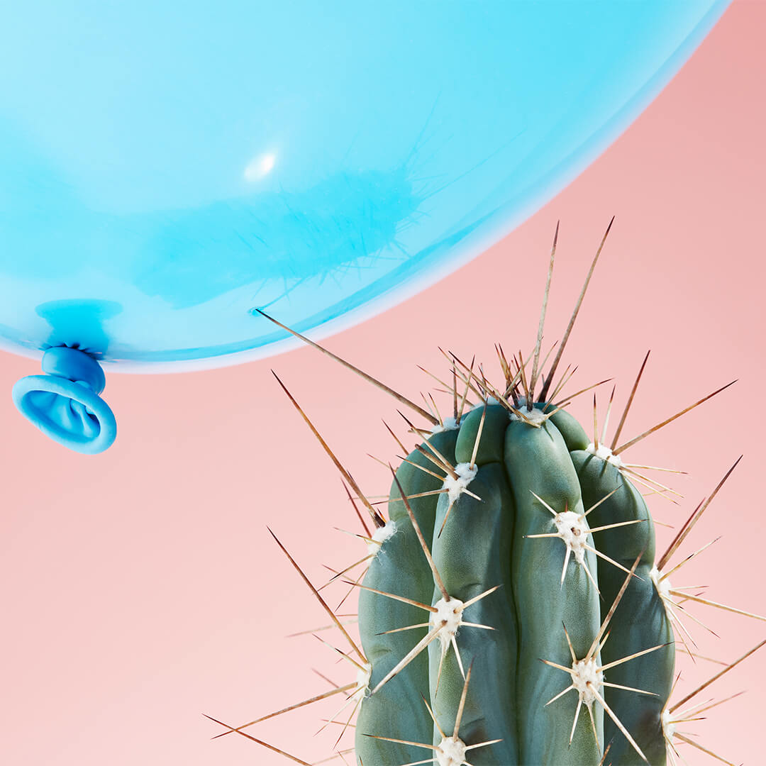 Close-up image of a bright blue balloon landing on a cactus against a pink background