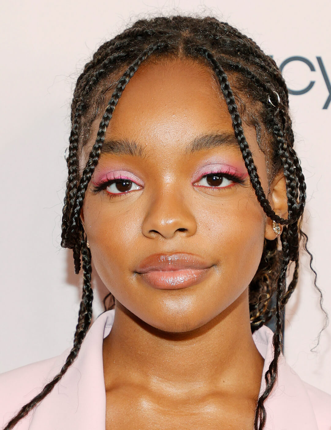 14 Epic Ways to Style Your Box Braids, IPSY